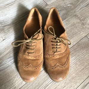 Arturo Chiang suede oxford shoes